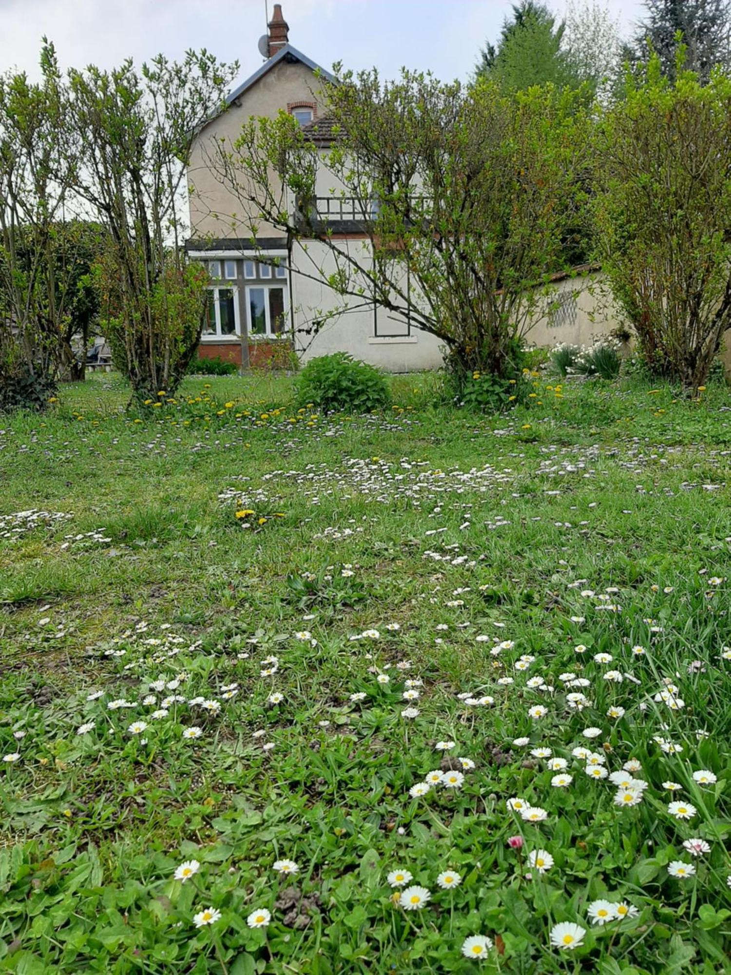 La Coutrotte Becquine Hotel Heuilley-sur-Saone Exterior photo